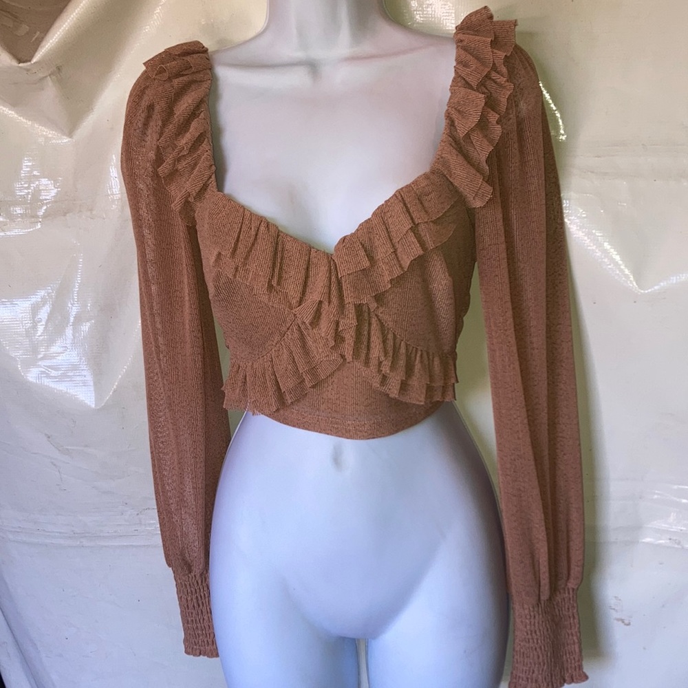 Beautiful Deep V-neck Sheer Cropped Blouse